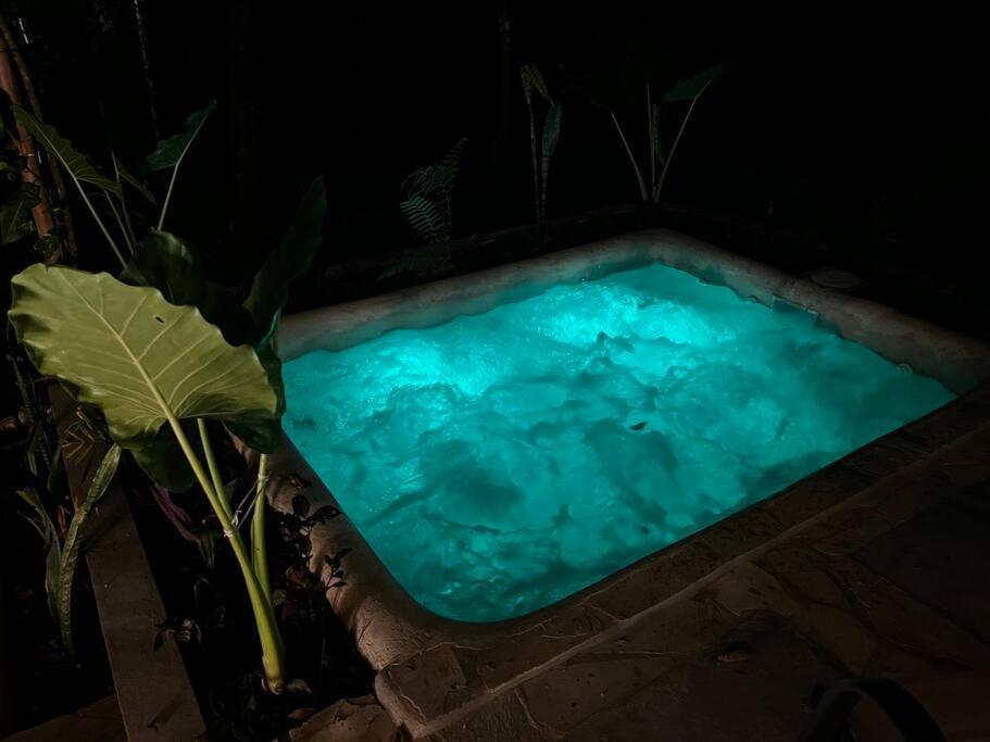Cabana De Bambu En La Selva Паленке Екстериор снимка
